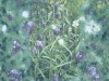 fritillary-field