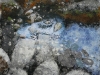 winter_1