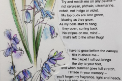 A-Bluebell-speaks-med